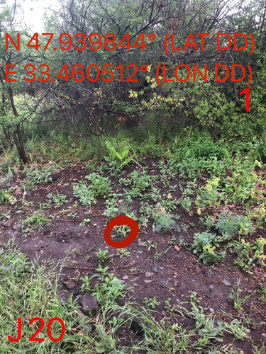 5289597046929615350.jpg