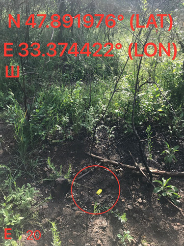 5287539860674048960.jpg