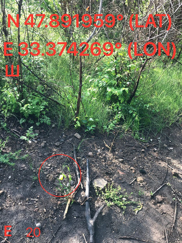 5287539860674048959.jpg