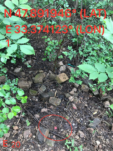 5287539860674048998.jpg
