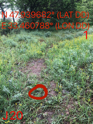 5289597046929615334.jpg