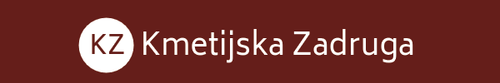 kz logo.png