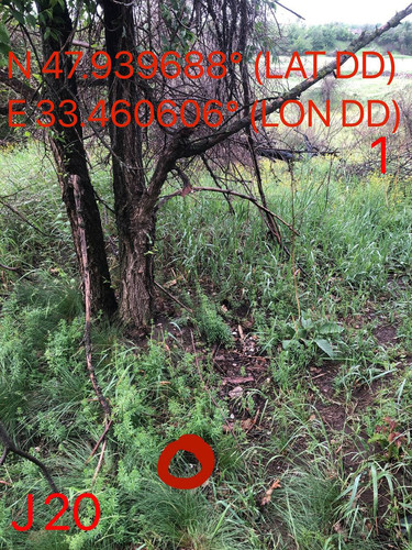 5289597046929615340.jpg
