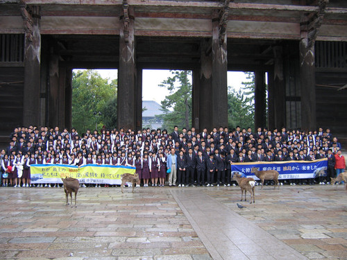 vi8630159869.jpg