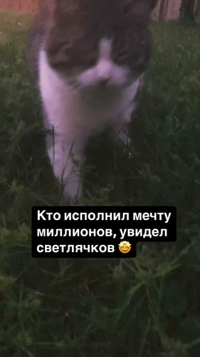 4uOmtSMss9QFB 06.jpg