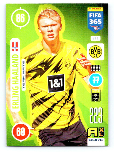 Document 20250520 0164.jpg