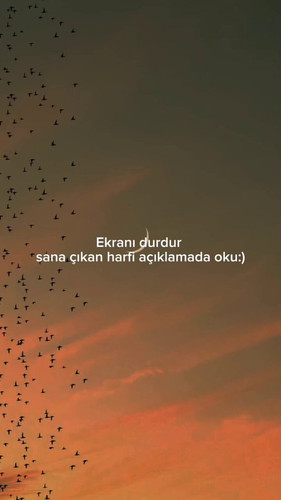 C0lGcpfSb6N 0on8.jpg