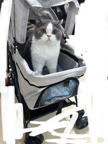 3024C6D8 AC2D 43AA 9029 DAF8564807E9.jpg