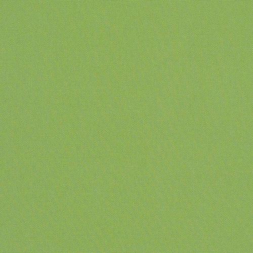 G Ginkgo 1024x1024.jpg