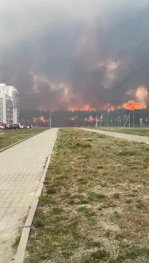 csFOmDVY AELflsy.jpg