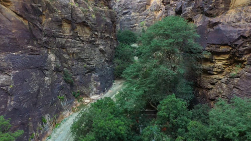 vQIgw3o2UJCE xvf.jpg