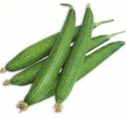 50 vmr 144 sponge gourd nenua ne.jpg