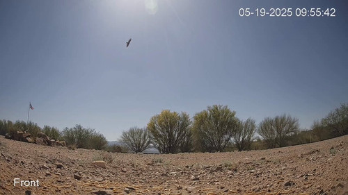 pBnBa DPZc9J8QLe.jpg