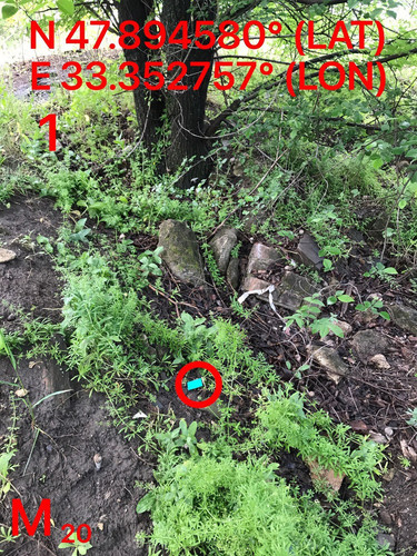 5287489910204394212.jpg