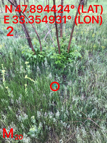 5287489910204394181.jpg