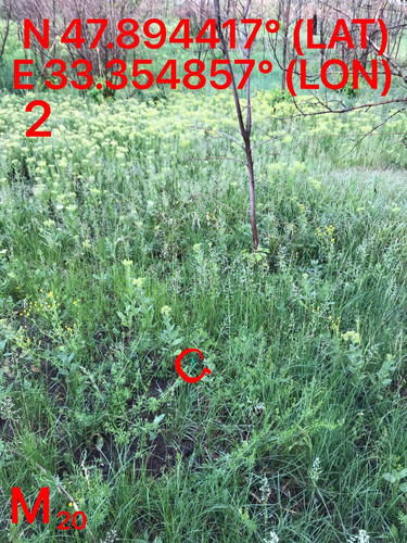 5287489910204394176.jpg