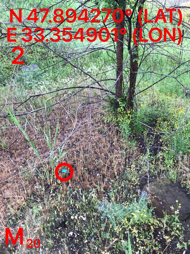 5287489910204394178.jpg