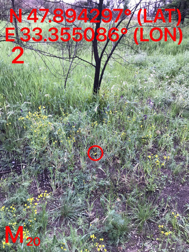 5287489910204394175.jpg