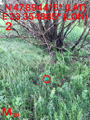 5287489910204394179.jpg