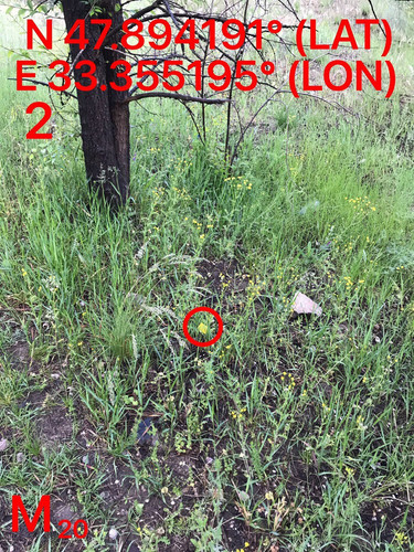 5287489910204394180.jpg
