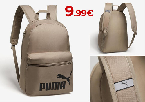 puma phase.jpg