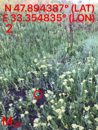 5287460515448221378.jpg