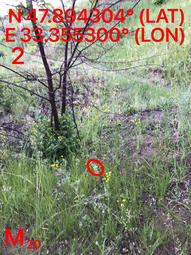 5287489910204394161.jpg