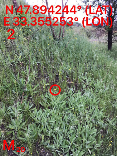 5287489910204394162.jpg