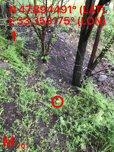 5287489910204394189.jpg