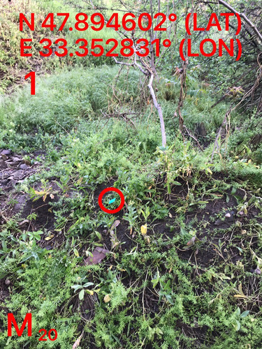 5287460515448221383.jpg