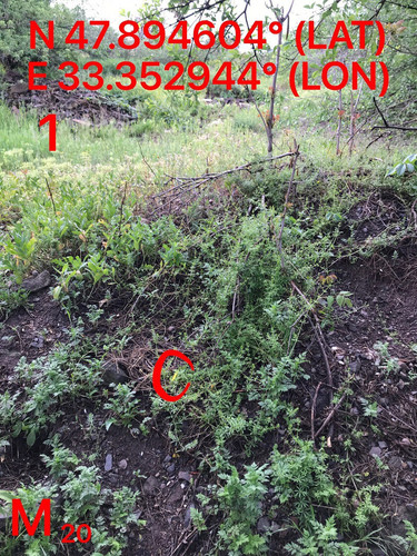 5287489910204394205.jpg