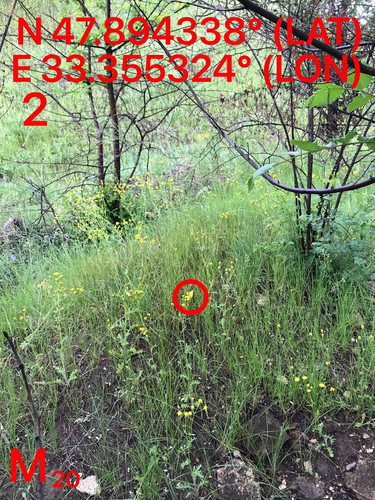 5287489910204394166.jpg