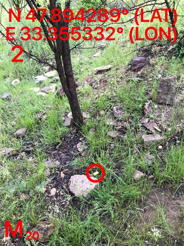 5287489910204394168.jpg