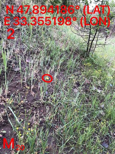 5287489910204394169.jpg