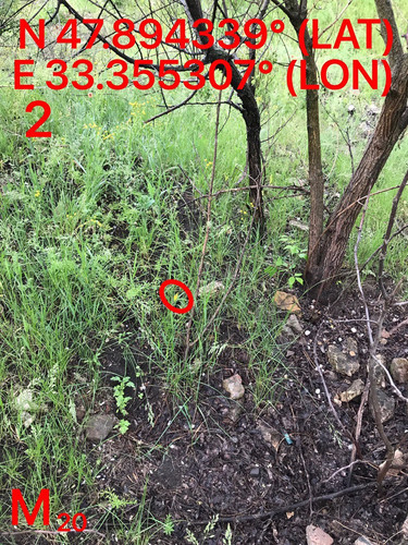5287489910204394167.jpg
