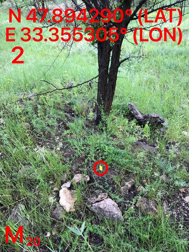 5287489910204394164.jpg