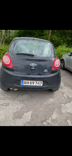 IMG 8376.png