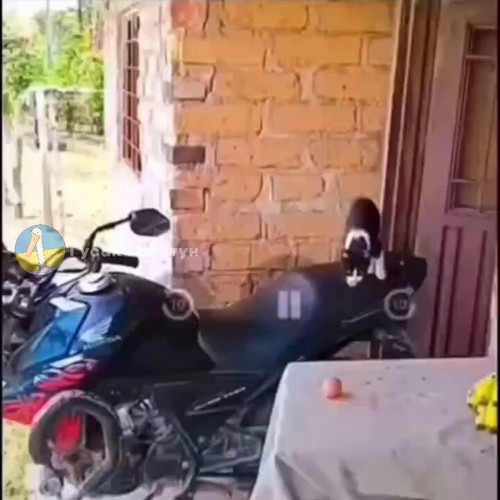 L7KikLhgQC0Rkb6c.jpg