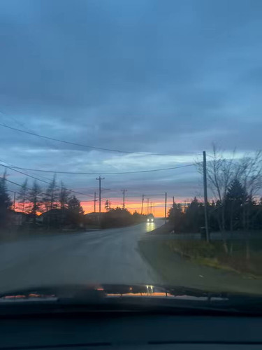 BRf5VmmMtdEp Aro.jpg