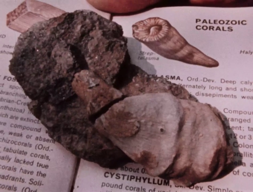 vlcsnap 2025 05 20 16h27m35s388.png