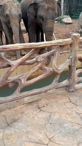 vtrYE nUIzNoVmTT.jpg