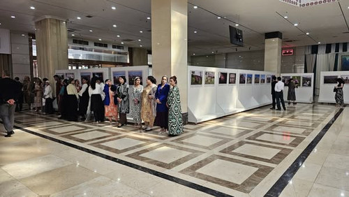 500209371 1117391597096820 4106759014610577082 n.jpg?stp=dst jpg s600x600 tt6& nc cat=109&ccb=1 7& n.jpg