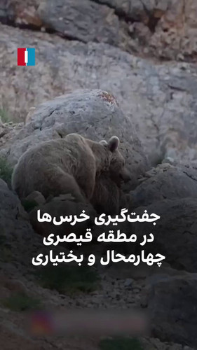 kSiNw2gTFBJiKtBr.jpg