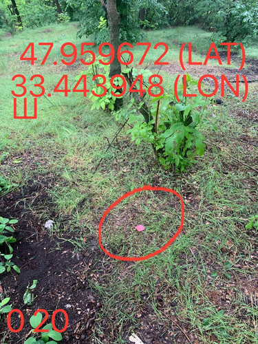 5289983740015144714.jpg