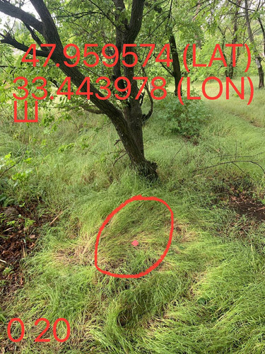 5289983740015144712.jpg