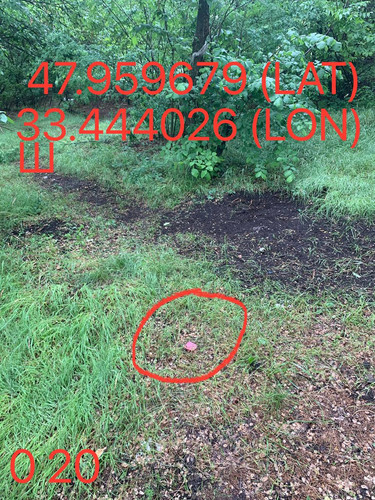5289983740015144716.jpg