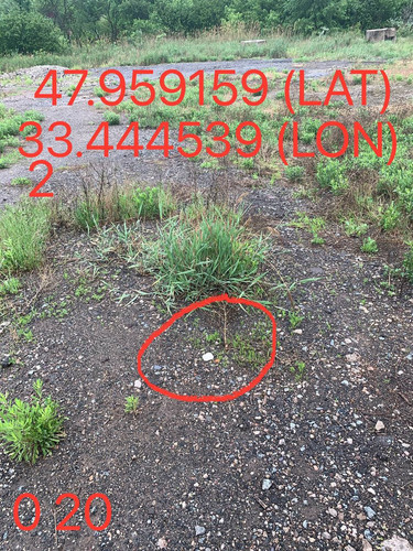 5287264295572340439.jpg