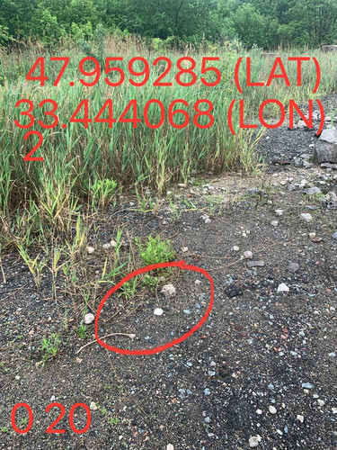 5289983740015144704.jpg