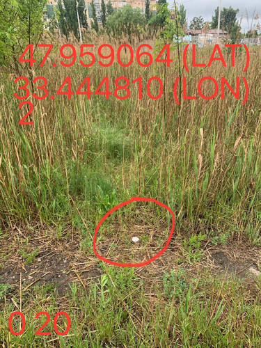 5289983740015144701.jpg