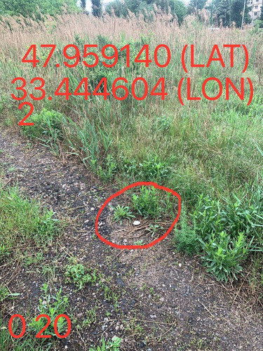 5289983740015144702.jpg